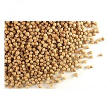 Seminte plic coriandru 5gr