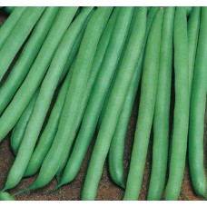 Seminte plic fasole ol. wotter 100g