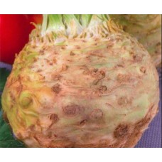 Seminte plic telinagigant prague 2gr