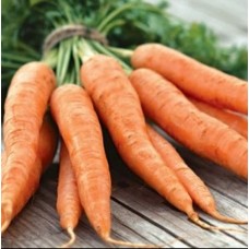 Seminte morcovi flakker 50g