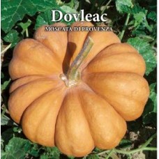 Seminte plic dovleac moscata 5gr