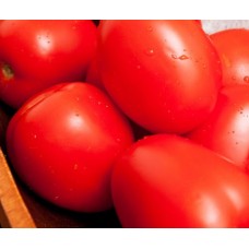 Seminte plic tomate roma 1gr Seminte plic tomate roma 1gr