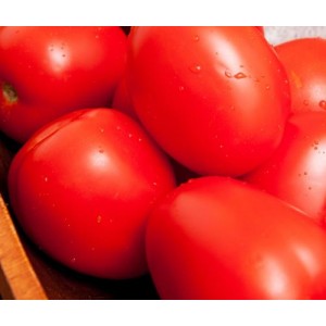 Seminte plic tomate roma 1gr