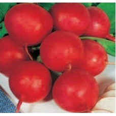 Seminte ridichi cherry belle 10000 sem