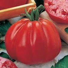 Seminte plic tomate p.d albenga 250 sem