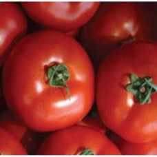 Seminte tomate megisti f1 100 sem