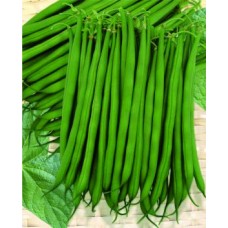 Seminte plic fasole ol. m.venetia 100g
